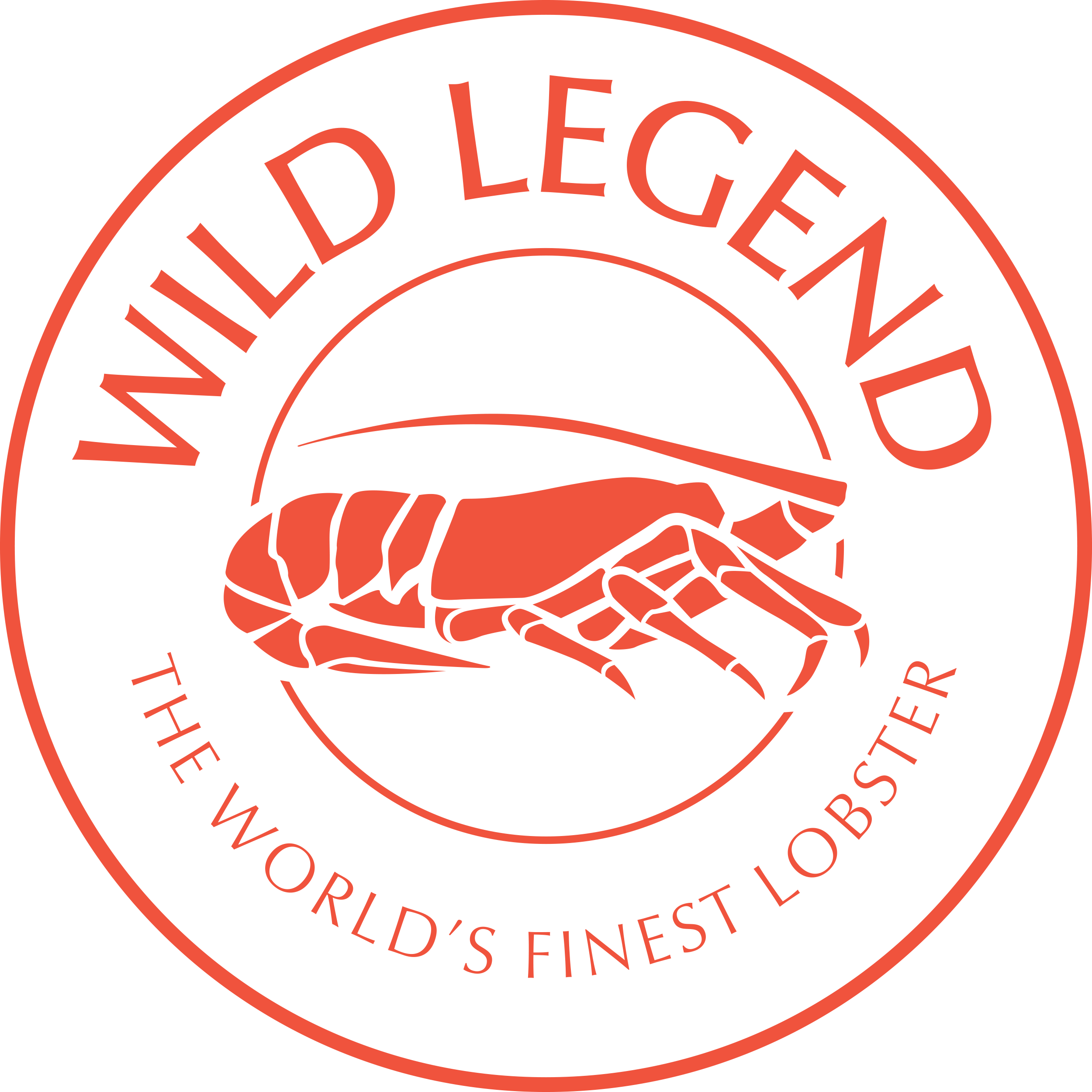 Wild Legend Lobster